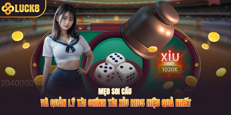 Mẹo soi cầu và quản lý tài chính tài xỉu MD5 hiệu quả nhất
